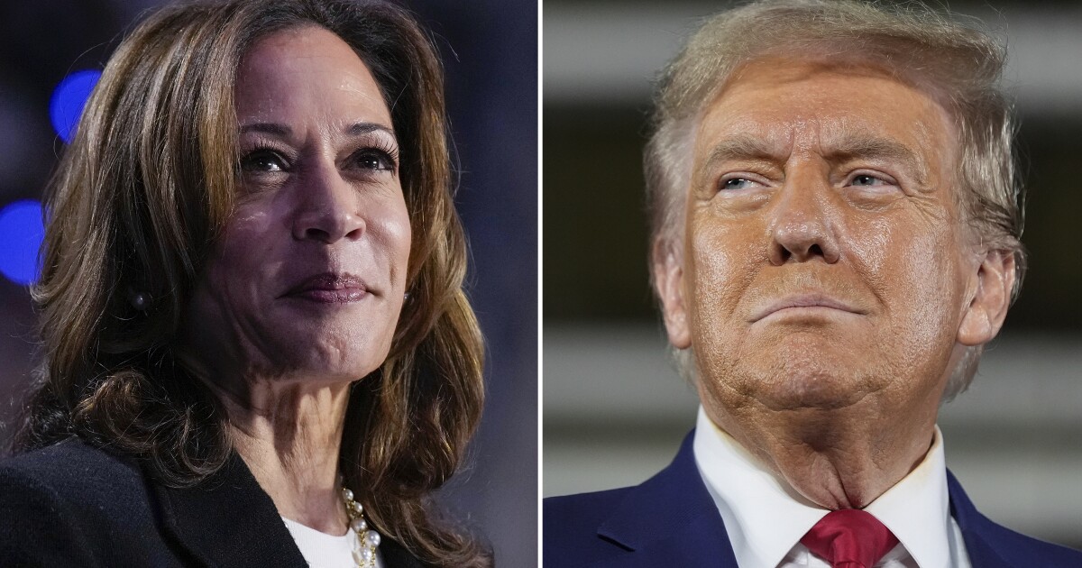 Betting on politics: This is where the odds stand in the presidential race